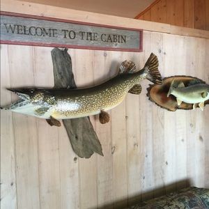 Meet your Posher, Dean